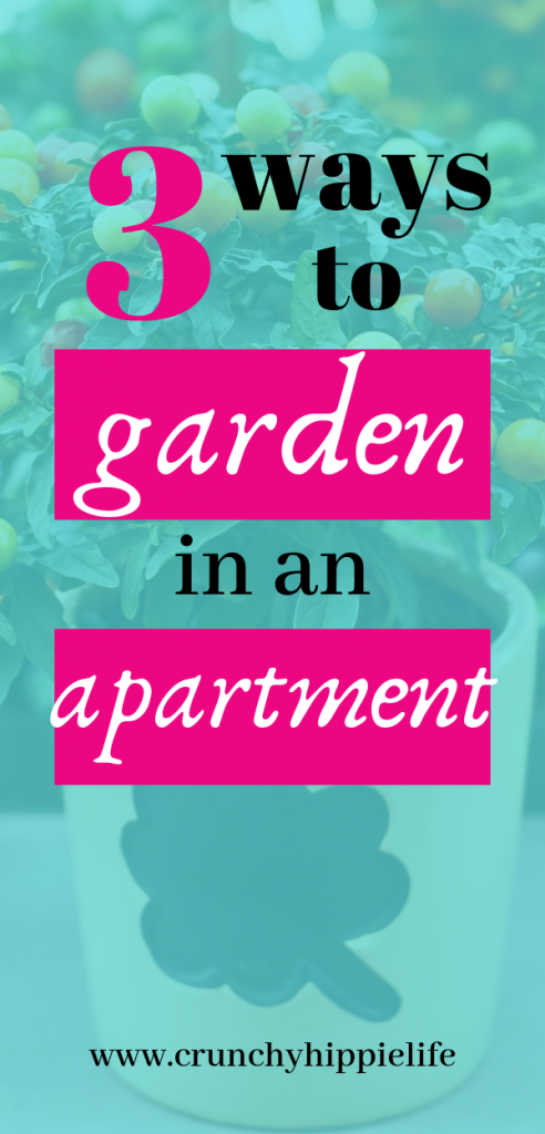 how to grow your food in an apartment, garden in an apartment